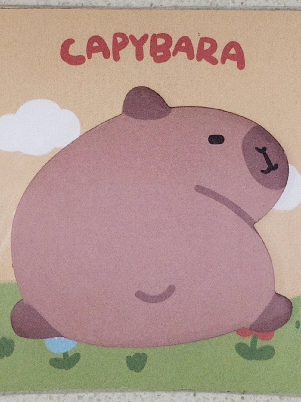 Cheeky Capybara mini sticky note memo pad set